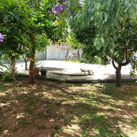 Petrochori Memories Maisonette Holiday home